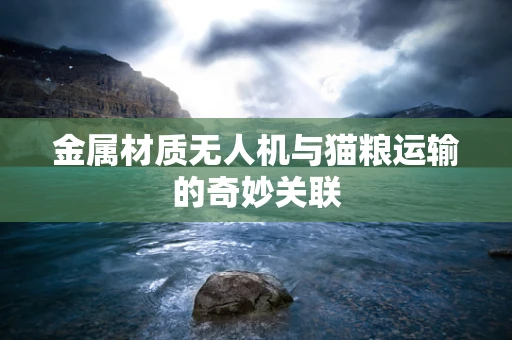 金属材质无人机与猫粮运输的奇妙关联
