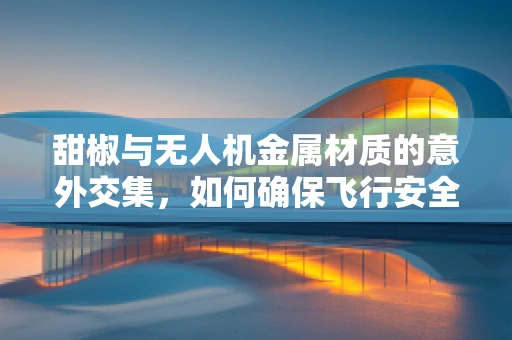 甜椒与无人机金属材质的意外交集，如何确保飞行安全？