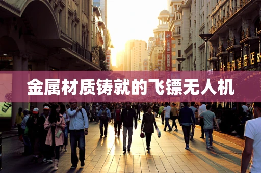 金属材质铸就的飞镖无人机