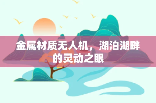 金属材质无人机，湖泊湖畔的灵动之眼