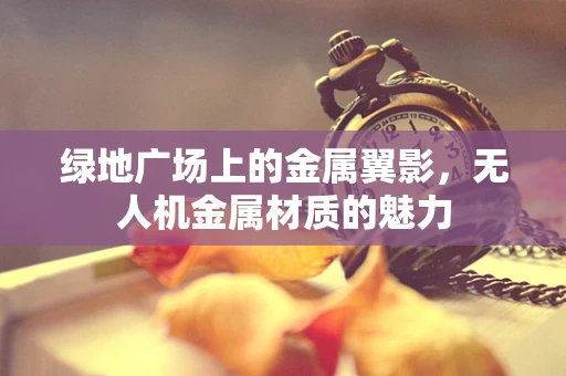 绿地广场上的金属翼影，无人机金属材质的魅力