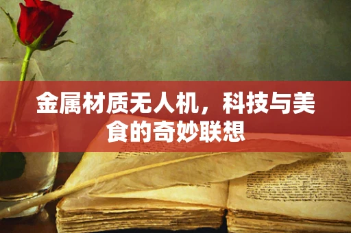 金属材质无人机，科技与美食的奇妙联想