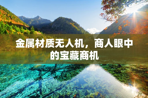 金属材质无人机，商人眼中的宝藏商机