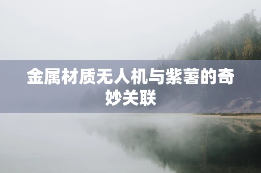 金属材质无人机与紫薯的奇妙关联