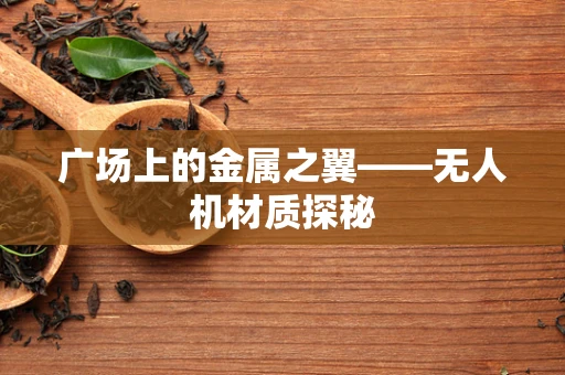 广场上的金属之翼——无人机材质探秘