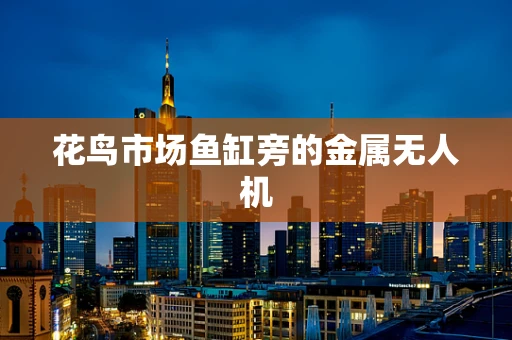 花鸟市场鱼缸旁的金属无人机