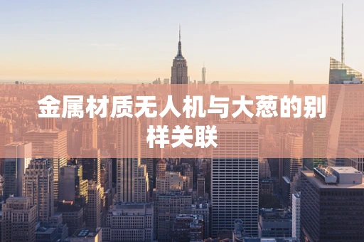金属材质无人机与大葱的别样关联