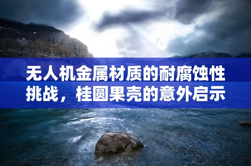无人机金属材质的耐腐蚀性挑战，桂圆果壳的意外启示