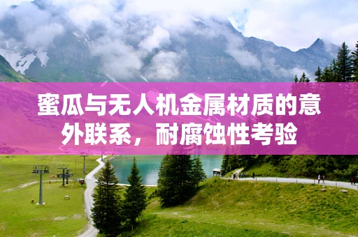 蜜瓜与无人机金属材质的意外联系，耐腐蚀性考验