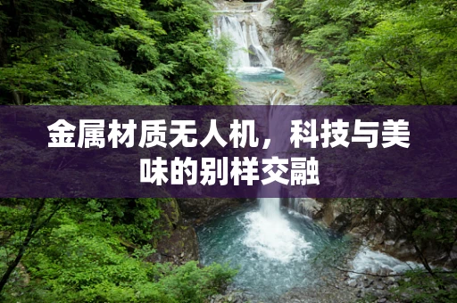 金属材质无人机，科技与美味的别样交融