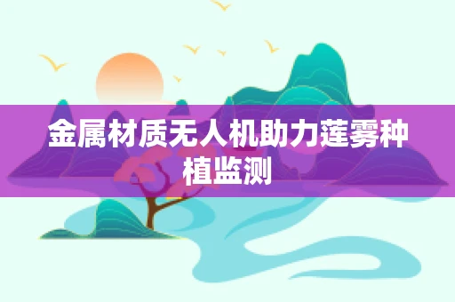 金属材质无人机助力莲雾种植监测