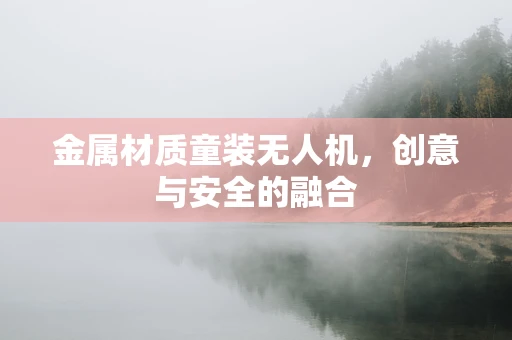 金属材质童装无人机，创意与安全的融合