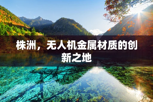 株洲，无人机金属材质的创新之地