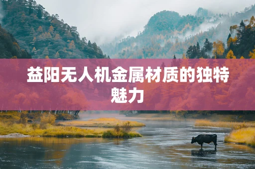 益阳无人机金属材质的独特魅力