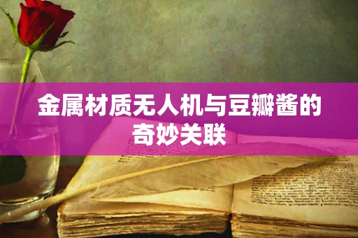 金属材质无人机与豆瓣酱的奇妙关联