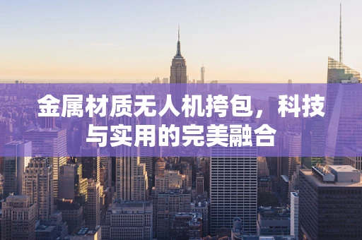 金属材质无人机挎包，科技与实用的完美融合