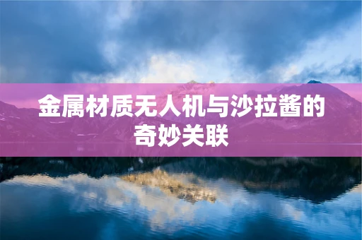金属材质无人机与沙拉酱的奇妙关联