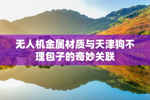 无人机金属材质与天津狗不理包子的奇妙关联