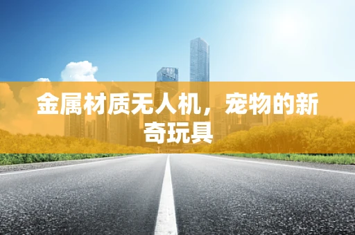 金属材质无人机，宠物的新奇玩具