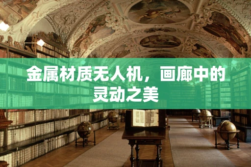 金属材质无人机，画廊中的灵动之美