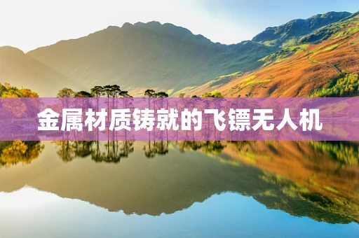 金属材质铸就的飞镖无人机
