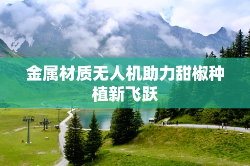 金属材质无人机助力甜椒种植新飞跃
