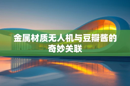 金属材质无人机与豆瓣酱的奇妙关联
