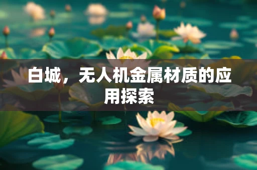 白城，无人机金属材质的应用探索