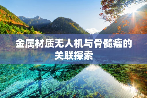 金属材质无人机与骨髓瘤的关联探索