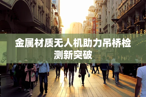 金属材质无人机助力吊桥检测新突破