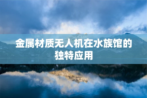 金属材质无人机在水族馆的独特应用