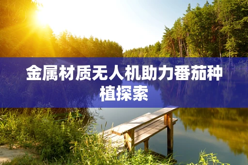 金属材质无人机助力番茄种植探索