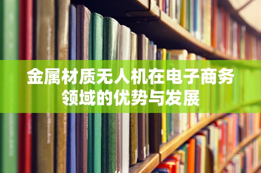 金属材质无人机在电子商务领域的优势与发展