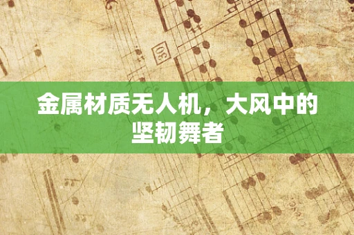 金属材质无人机，大风中的坚韧舞者