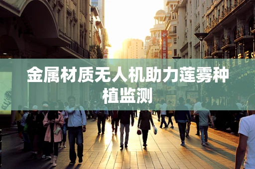 金属材质无人机助力莲雾种植监测