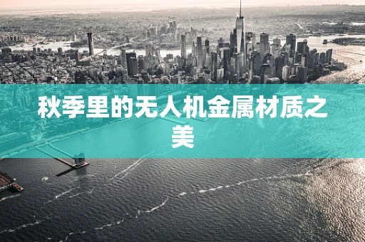 秋季里的无人机金属材质之美