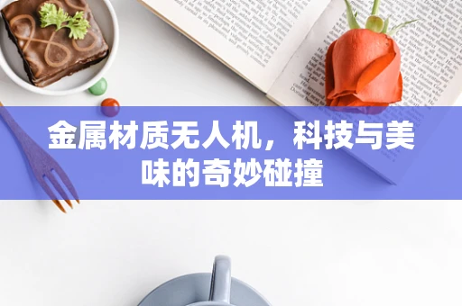 金属材质无人机，科技与美味的奇妙碰撞