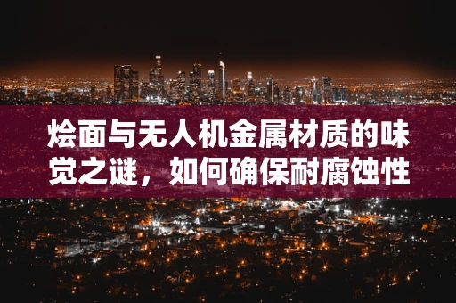烩面与无人机金属材质的味觉之谜，如何确保耐腐蚀性？