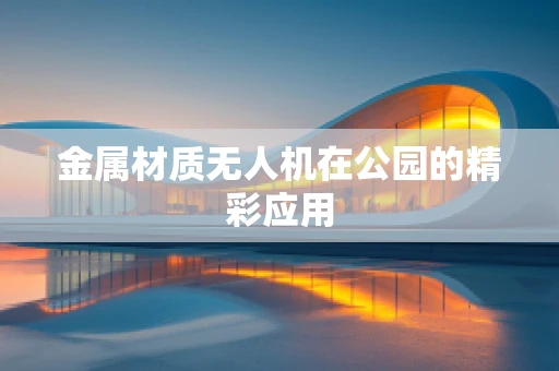 金属材质无人机在公园的精彩应用