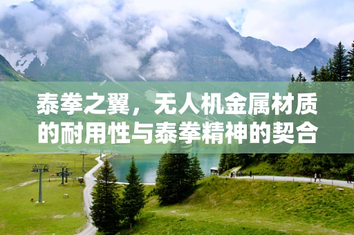 泰拳之翼，无人机金属材质的耐用性与泰拳精神的契合