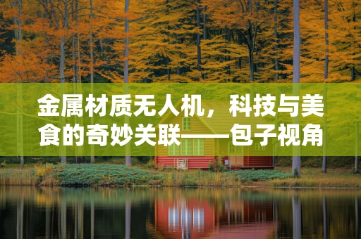 金属材质无人机，科技与美食的奇妙关联——包子视角