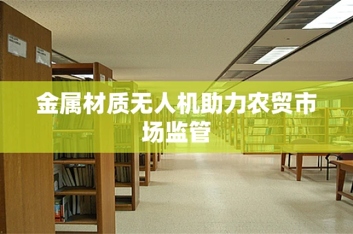 金属材质无人机助力农贸市场监管