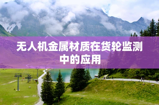 无人机金属材质在货轮监测中的应用
