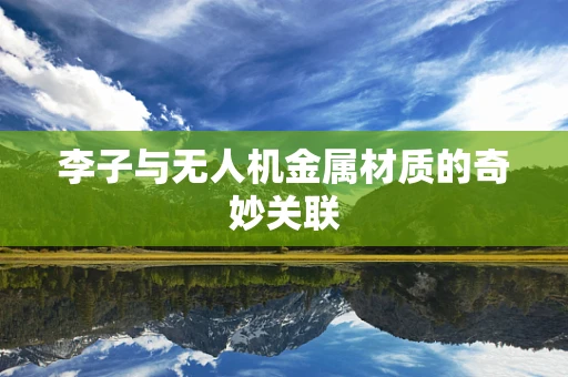 李子与无人机金属材质的奇妙关联