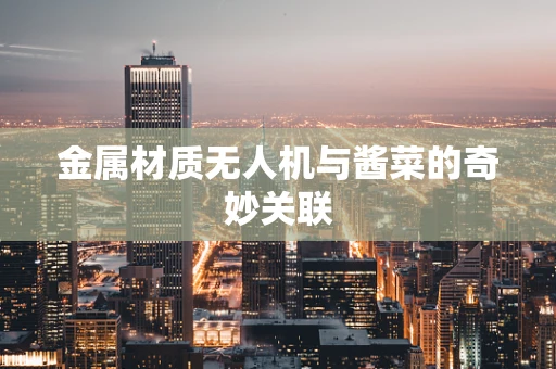 金属材质无人机与酱菜的奇妙关联