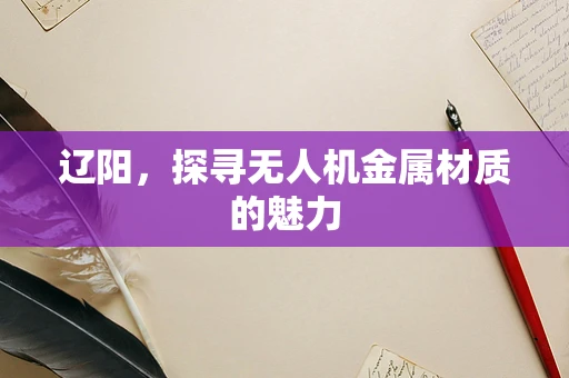 辽阳，探寻无人机金属材质的魅力