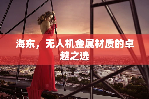 海东，无人机金属材质的卓越之选
