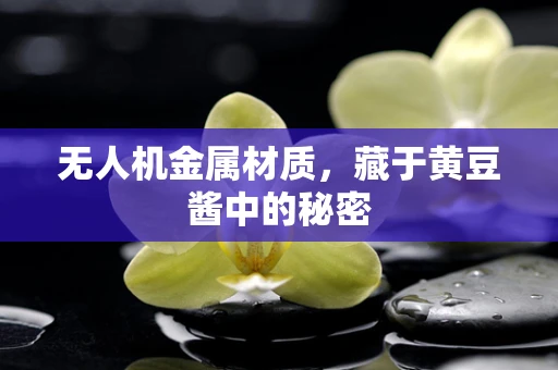 无人机金属材质，藏于黄豆酱中的秘密
