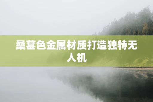 桑葚色金属材质打造独特无人机