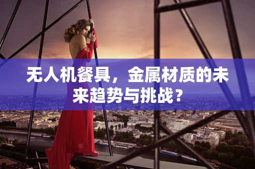 无人机餐具，金属材质的未来趋势与挑战？